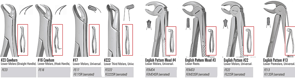 Extraction Chart For Forceps